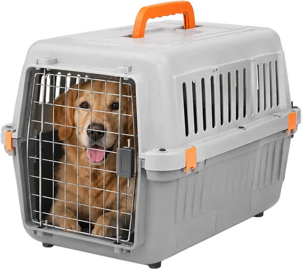 Carriers & accessories